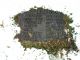 Photo of headstones/thumb_Donald R Maclennan 1871-1935 hdstn Hamilton cem ON